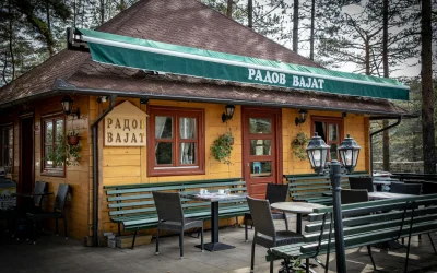 Gozney Dome Gen 2: Puikus sprendimas pica mėgėjams