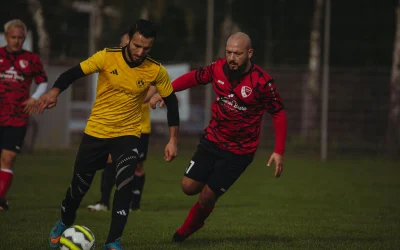 Fantazijų futbolo lyga: strategijos ir naujausi iššūkiai 33-ajame ture