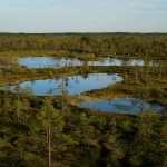 Arkties atšilimas: kaip senovinis anglies išsiskyrimas veikia klimatą