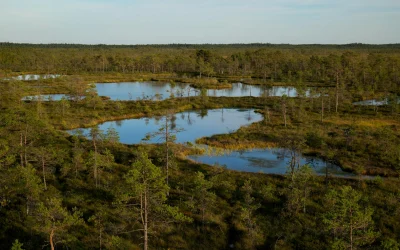 Arkties atšilimas: kaip senovinis anglies išsiskyrimas veikia klimatą