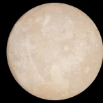 Pirmasis žinomas žinduolių protėvių kiaušinis atskleidžia senovės paslaptis