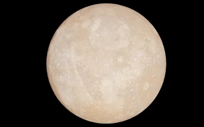 Pirmasis žinomas žinduolių protėvių kiaušinis atskleidžia senovės paslaptis