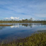 Jellostouno nacionalinio parko vulkanas gali būti ant išsiveržimo ribos