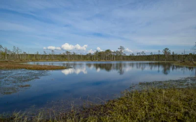 Jellostouno nacionalinio parko vulkanas gali būti ant išsiveržimo ribos