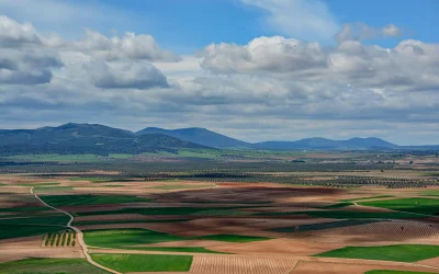 Humanitarinė pagalba Gazai: laivų flotilė siekia pažaboti Izraelio blokadą