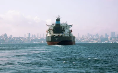 Lietuva palaiko JK ir Prancūzijos iniciatyvą užtikrinti laivybos saugumą Hormuzo sąsiauryje