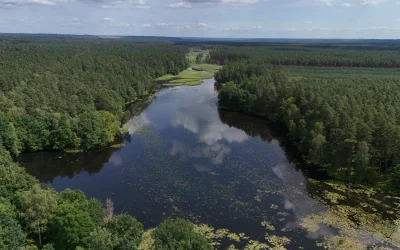 Palydovinės nuotraukos Irane: nerimas dėl apribojimų po JAV spaudimo