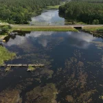 Artemis II: Kanados erdvėlaivių misijos nauji horizontai