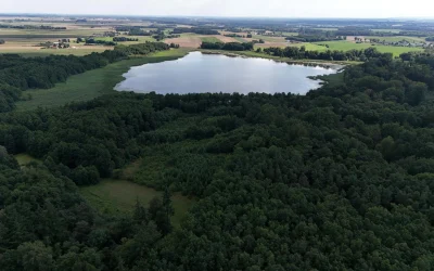 Nauji Rowhammer atakos: pilnas kontrolės perėmimas naudojant Nvidia GPU