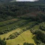 Jaunųjų mokslininkų komandos išrinktos geriausiomis roverių varžybose