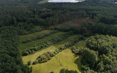 Jaunųjų mokslininkų komandos išrinktos geriausiomis roverių varžybose