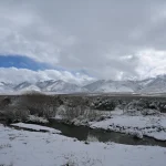 Kieno augalai pasisavina Kolorado upės vandenį?