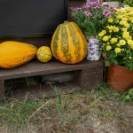 Europa intensyvina pastangas užtikrinti Hormuzo sąsiaurį nepriklausomai nuo JAV pozicijos