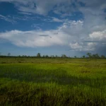 Vengrijos politinė situacija: Orbano tėvynė ir korupcijos simboliai