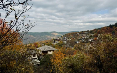 Nauji MXene nanoskrolai gali revoliucionuoti baterijas ir jutiklius