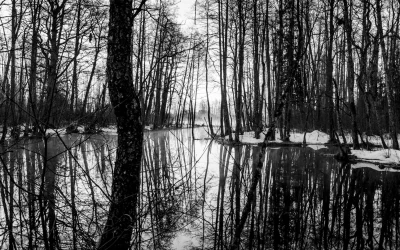 Kodėl aš mėgstu šią juodai baltą kamerą