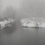 2010-ųjų vaizdo žaidimų konsolių palyginimas: kas buvo geriausia?