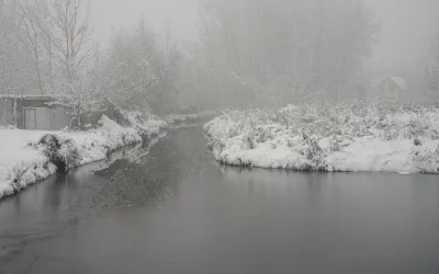 2010-ųjų vaizdo žaidimų konsolių palyginimas: kas buvo geriausia?