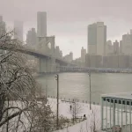 Brooklyn Beckham vestuvės: šeimos konfliktai ir gėdingi incidentai