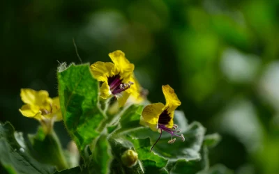 Peržvelgiame sudėtingus santykių klausimus: balsuokite dėl 10 ginčytinų situacijų