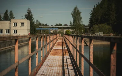 Polymarket: spekuliacijos, sukčiavimas ar nauja investavimo forma?