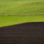 Agromiškininkystė: naujas požiūris į žemės ūkio praktiką Lietuvoje