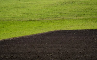 Agromiškininkystė: naujas požiūris į žemės ūkio praktiką Lietuvoje