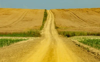 Oklahoma danguje aptiktas naujas toksiškas chemikalas