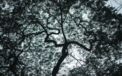 Gamta įkvepia: unikalūs kūriniai iš viso pasaulio