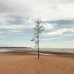 Ligonių baimės: 15 tamsių tiesų apie ligonines, kurias turėtumėte žinoti