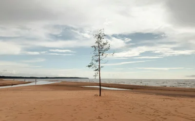 Ligonių baimės: 15 tamsių tiesų apie ligonines, kurias turėtumėte žinoti