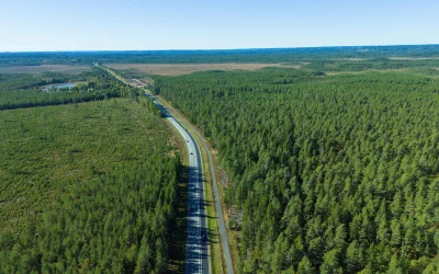 Rusiškas advokatas kovoja su Lietuvos migracijos tarnybomis: 'Rusai gyvena baimėje'