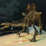 Priešistorinis jūrinis monstras, dydžiu prilygstantis autobusui, valdė Meksikos vandenis