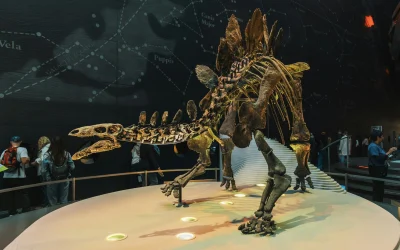 Priešistorinis jūrinis monstras, dydžiu prilygstantis autobusui, valdė Meksikos vandenis