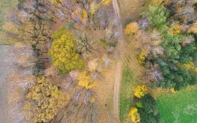 Atraskite paslėptus vaizdo žaidimų perlų PS5, Xbox ir Nintendo Switch platformose