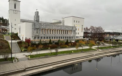 M. Osula išsiskiria Premier lygoje: įspūdingas mėnesio įvartis