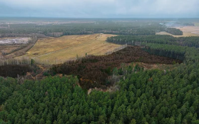 Nekilnojamojo turto savininkams: specialios žemės naudojimo sąlygos ir jų įteikimas