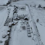 Vengrijos žurnalistų kova už tiesą prieš rinkimus: propaganda ir realybė