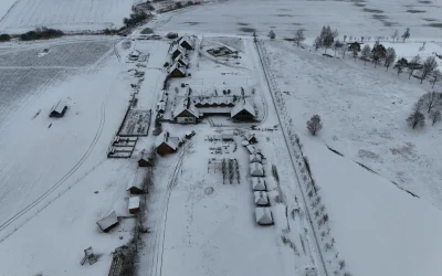 Vengrijos žurnalistų kova už tiesą prieš rinkimus: propaganda ir realybė