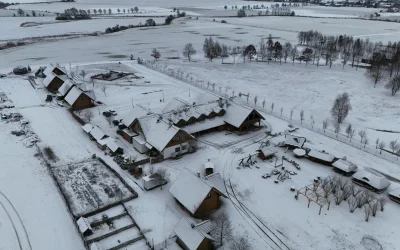 Pavasariniai vairavimo iššūkiai: saulės akinimas gali tapti pavojingas