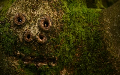 Nepaprastos pareidolijos akimirkos: kasdieniai objektai įgauna veidus
