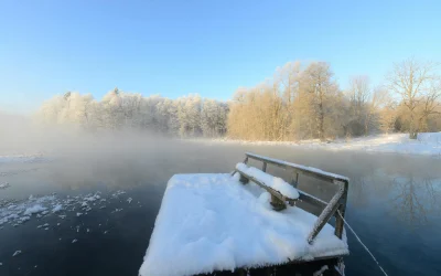 Žiemos sezoną dažnai praleidžiama gripo sukeltų mirčių problema