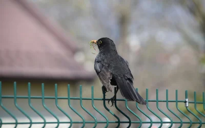 Neįtikėtini atsitikimai, kurie skamba kaip fantastika, tačiau yra visiškai tikri
