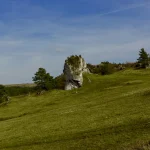 Ankstyvoji Didžioji Šikšnosparnė: Deinosuchus schwimmeri grįžo į mūsų laikus