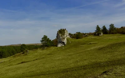 Ankstyvoji Didžioji Šikšnosparnė: Deinosuchus schwimmeri grįžo į mūsų laikus