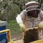 Džeksonų šeimos transformacija: plastinės chirurgijos poveikis per dešimtmečius