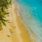 Mokslininkai paneigė mitą apie Havajų paukščių išnykimą