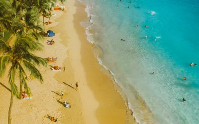 Mokslininkai paneigė mitą apie Havajų paukščių išnykimą