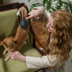 Automatiniai šunų ir kačių tualetai: ką pasirinkti 2026 metais?