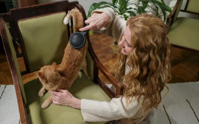 Automatiniai šunų ir kačių tualetai: ką pasirinkti 2026 metais?